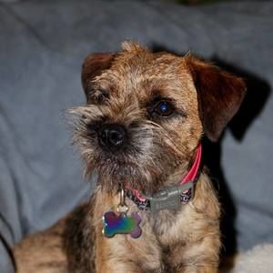 Meet your Posher, Jackie